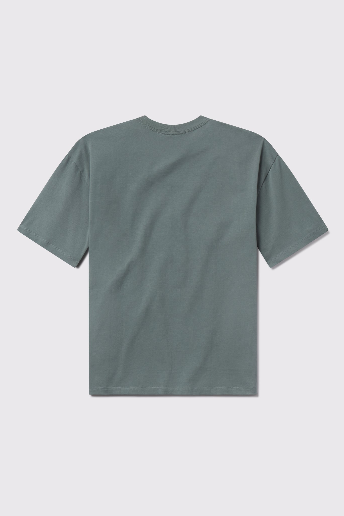 Heavy Tee - Sage - photo from back flat lay #color_sage