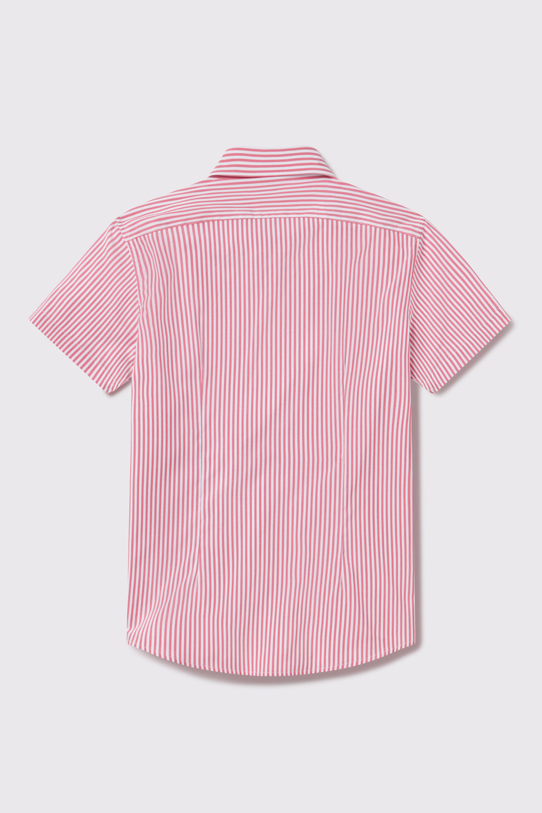 Motive Short Sleeve - Red Stripe - photo from back flat lay #color_red-stripe